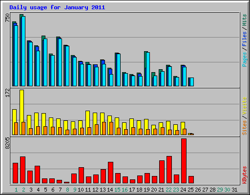 Daily usage for January 2011