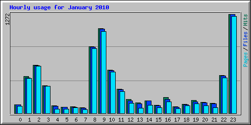 Hourly usage for January 2010