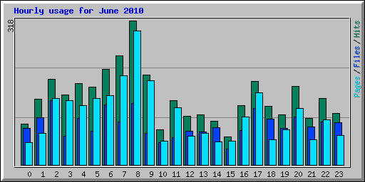 Hourly usage for June 2010