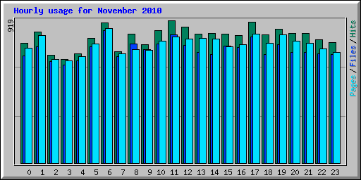 Hourly usage for November 2010