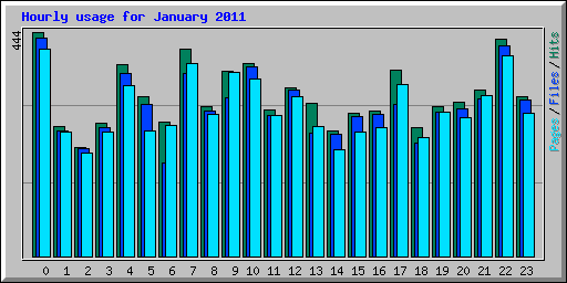 Hourly usage for January 2011